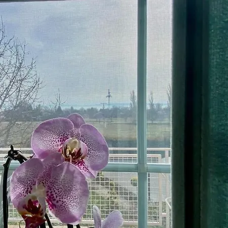 Tuende Nene Apartment
