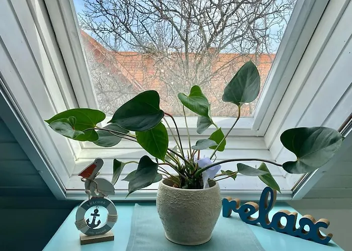 Tuende Nene Apartmán Zánka